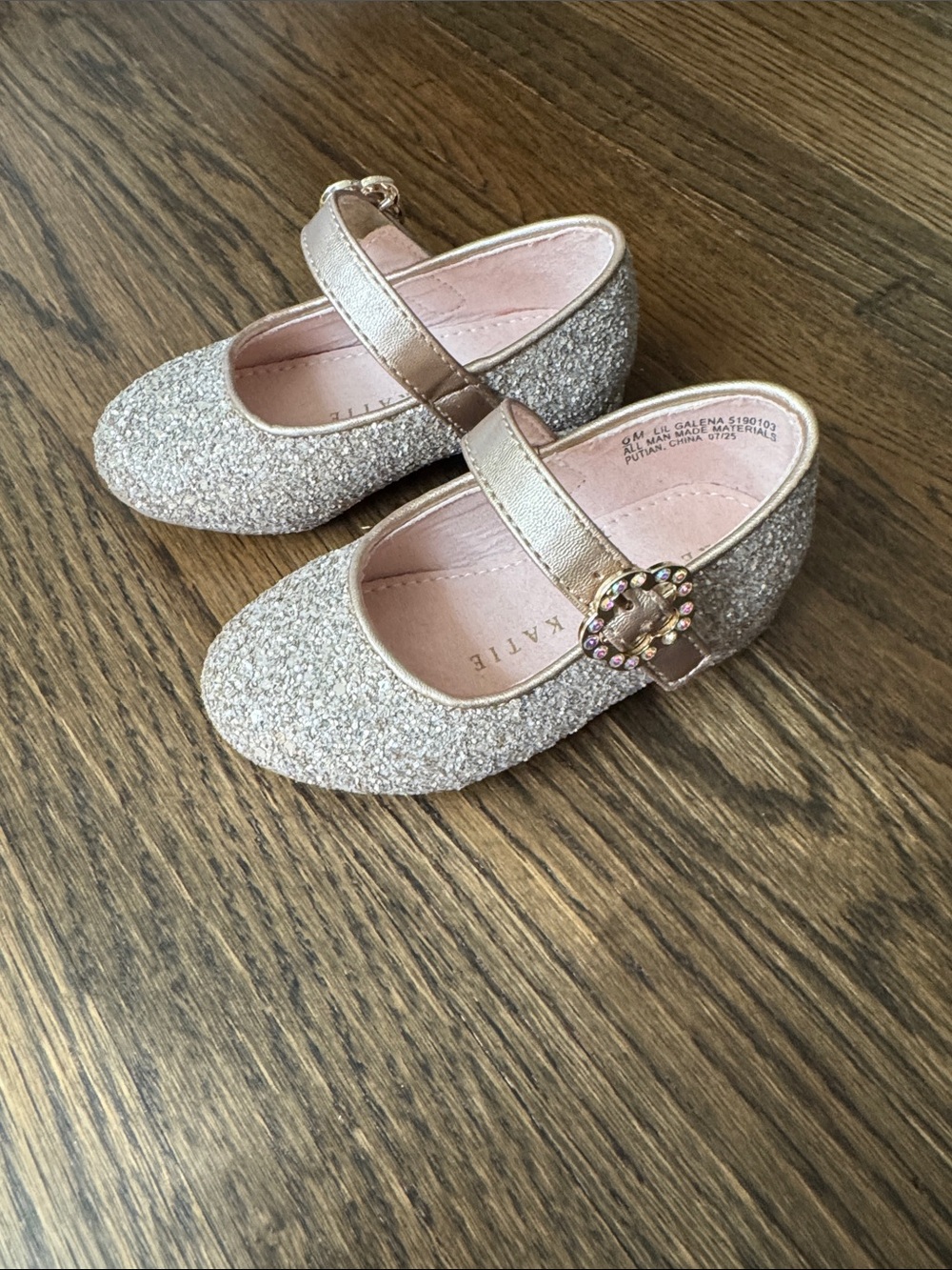Toddler glitter shoes size 6 (Kelly & Katie)